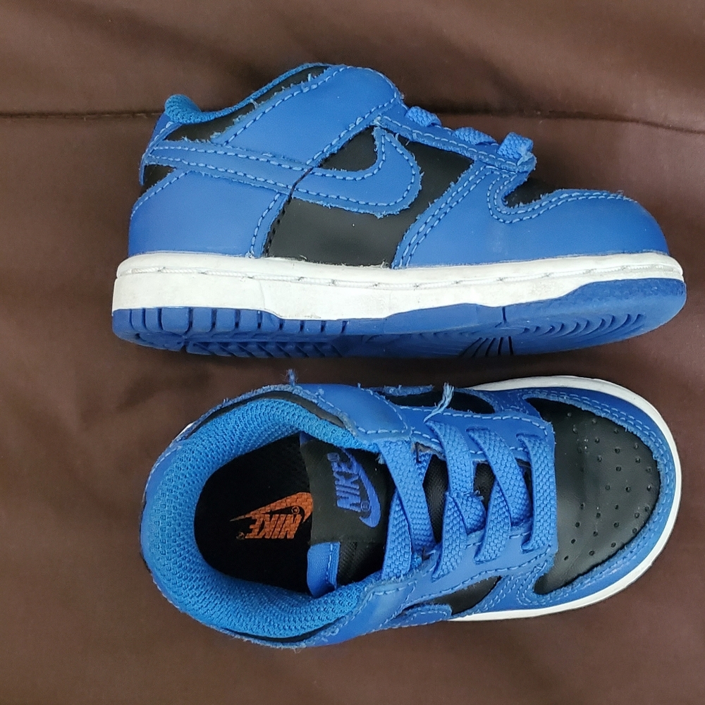 5c Nike Dunks